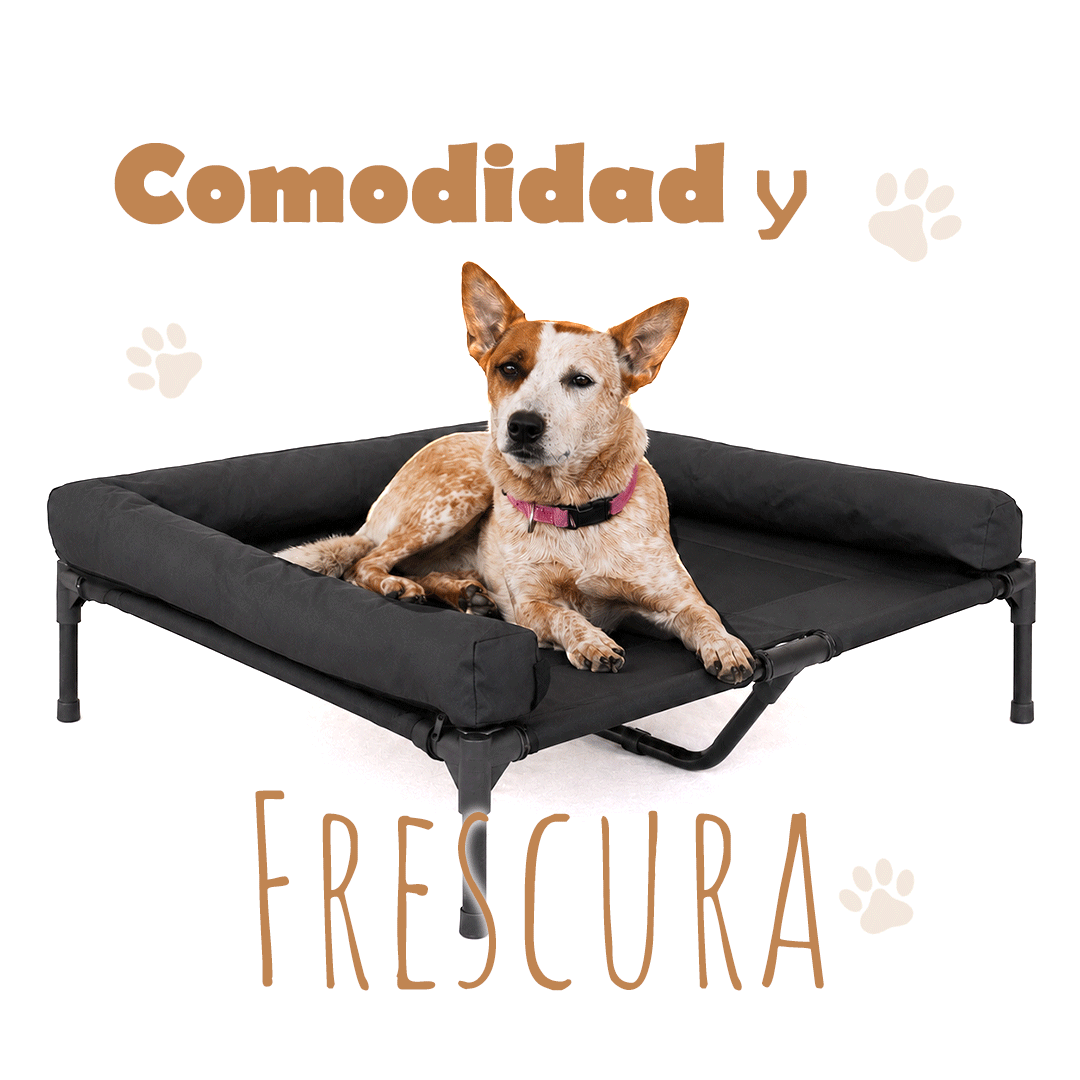 CAMA PARA PERRO ELEVADA CON BORDES EN U ACOLCHADO