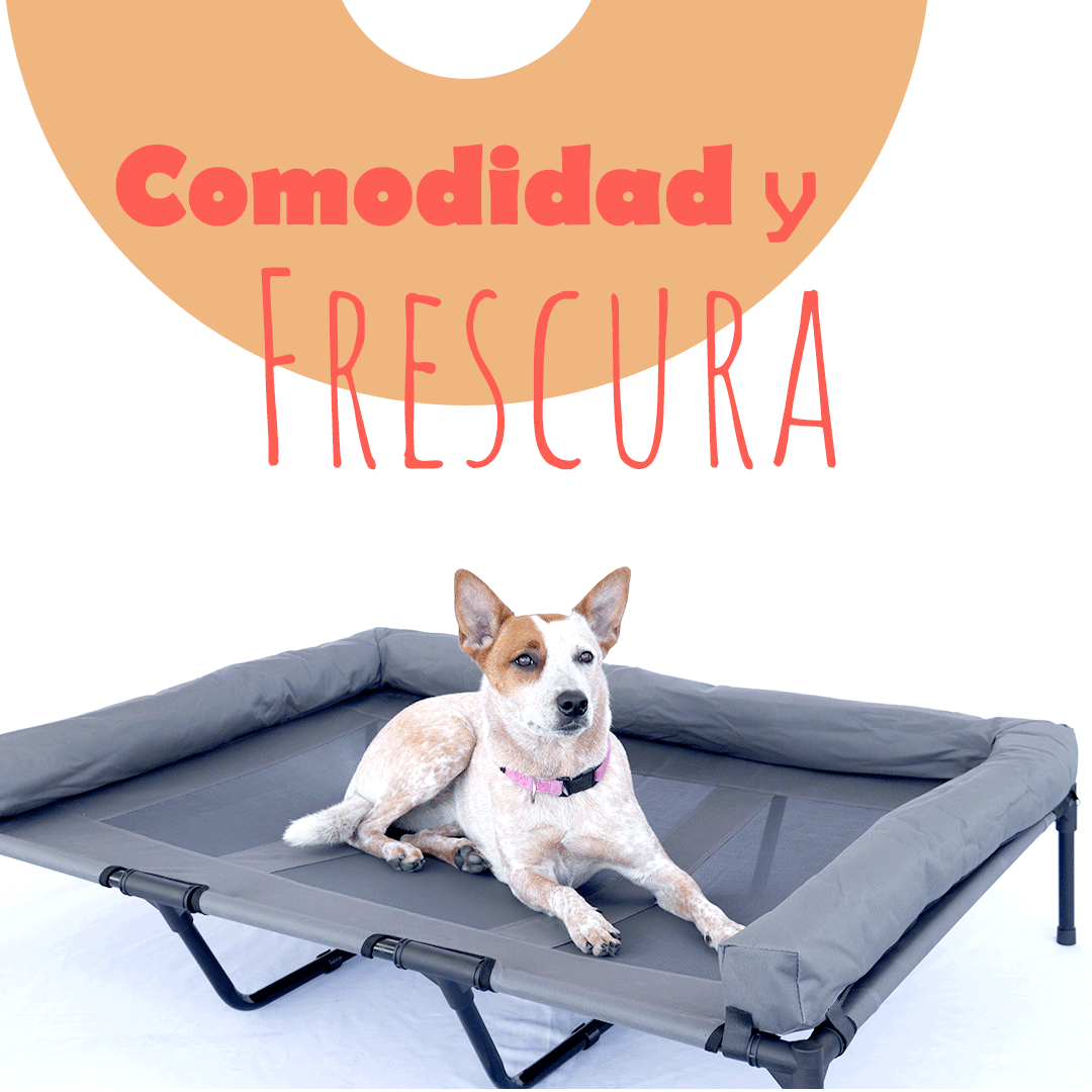CAMA PARA PERRO ELEVADA CON BORDES EN U ACOLCHADO